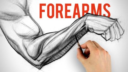Drawing and Shading Forearms Arm Anatomy Demo