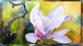 How to Paint the Magnolia Flower Watercolor Painting Part 1