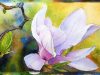 How to Paint the Magnolia Flower Watercolor Painting Part 2