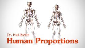 Human Figure Proportions Average Figures Dr. Paul Richer
