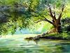 Tree over a Lake Watercolor landscape painting