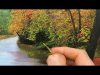 21 How To Paint Autumn Trees Oil Painting Tutorial