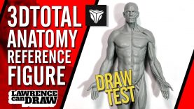 3dtotal Anatomy Figure Review for Digital Artists