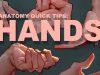Anatomy Quick Tips Hands