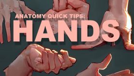 Anatomy Quick Tips Hands