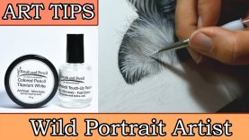 Art Tips Easy White Highlights for Coloured Pencil Art