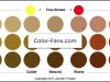 Color Theory Warm Brown vs Cool Brown
