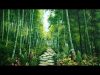 How To Make Cool Painting a Beautiful Way in Jungle