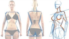 How to Draw the Female Figure and Torso