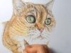 How to draw realistic cat fur with colored pencils