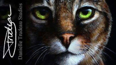 Marty Cat Pet Portrait Commission Time Lapse Painting by