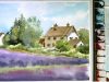 Watercolor Landscape Painting lavender farm