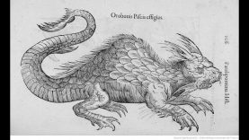 1642 Illustration of Ulysses Aldovandi history of monsters