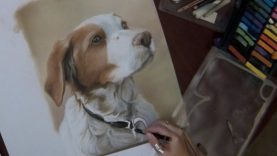 Pastel Dog Portrait Timelapse Speed Painting