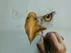 Easy How to Draw a Bald Eagle Face