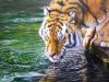 Acrylic Painting Tiger Speed Painting