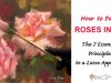 How to Paint Roses in Oil Loose Approach