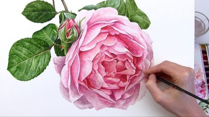 How to paint a realistic rose flower in watercolour