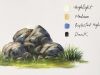 How to Paint Rocks in Acrylic PART1