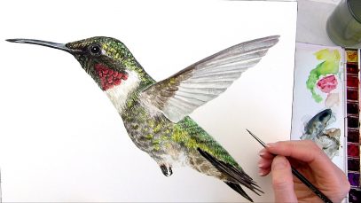 How to paint shiny coloured feathers in watercolor