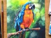 Painting Realistic Parrot in Watercolor
