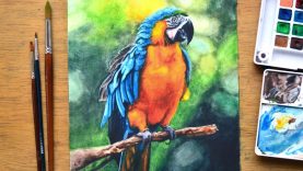 Painting Realistic Parrot in Watercolor