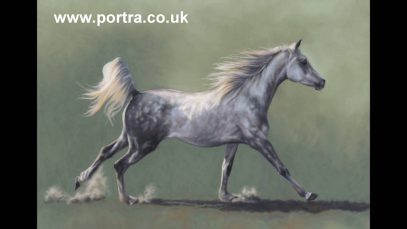 Speed Painting Grey Arabian Horse in Pastel