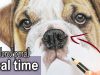 How to draw a realistic Bulldog nose in colored pencil