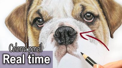 How to draw a realistic Bulldog nose in colored pencil