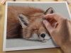 Fox Painting with Soft Pastels Live Tutorial