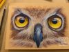 Painting Owl Eyes with Soft Pastels Live Tutorial