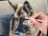 Speed Painting Dog in Pastels German Shepherd