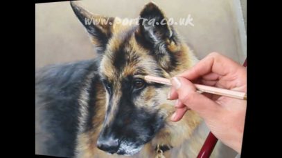Speed Painting Dog in Pastels German Shepherd