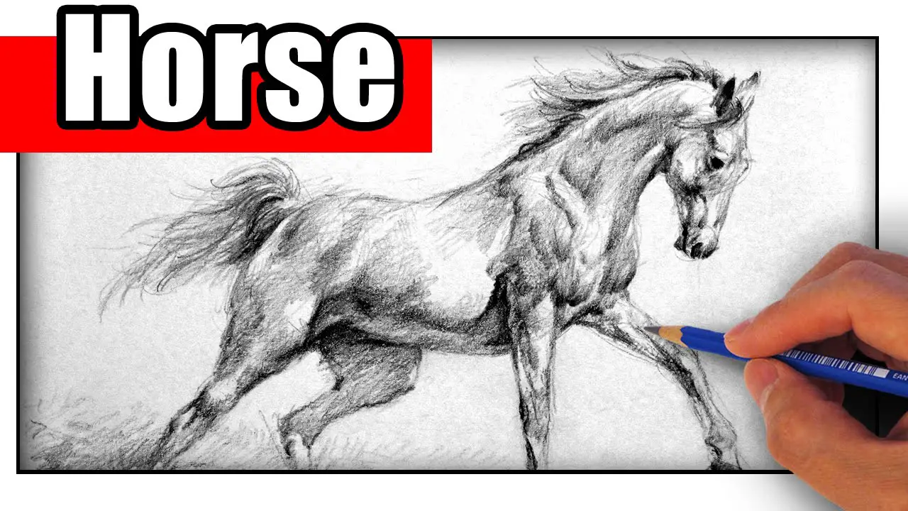 Painting By Slenderhorse Horse Pencil Pencil And Ink Background, Pictures  Of Drawings Of Horses, Horse, Drawing Background Image And Wallpaper for  Free Download