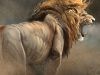 Lion quotWhen The King Speaksquot Time Lapse Digital Painting
