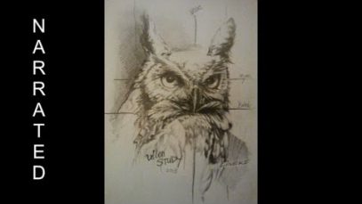Easy OWL for beginners Graphite pencil drawing