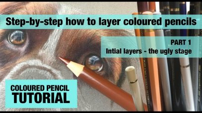 How to layer coloured pencil to create realistic looking fur
