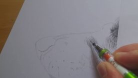 Drawing textured fur dog portrait quick tutorial