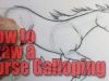 How to draw a Horse Galloping