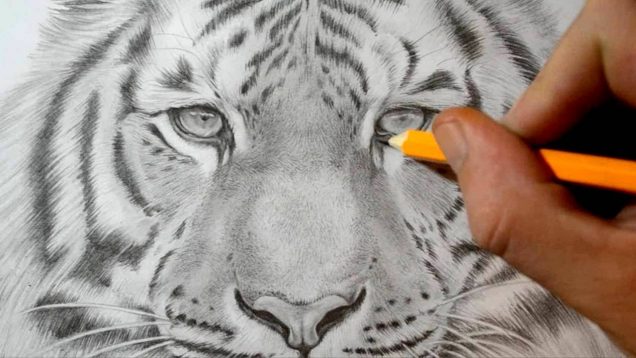 HOW TO Draw | SHADING and BLENDING | Photorealistic Graphite Drawing ...