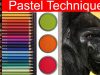 Pastel Pencil Techniques Drawing a Gorilla Wildlife Art