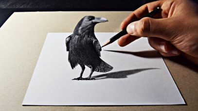 3D Pencil Art Raven Drawing