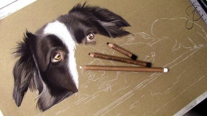 Cute Border Collie Realistic Dog Pastel Drawing Painting