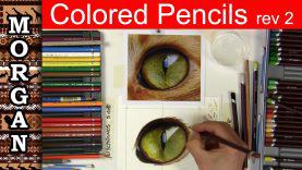 Polychromos Colored Pencils Excerpts 