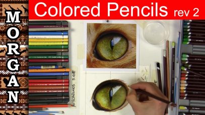 Colored Pencil Drawing Eyes Jason Morgan wildlife art