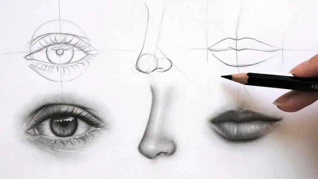 How to draw faces, eyes, nose, mouth - Skillshare - PaintingTube