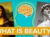 What Makes Something Beautiful Skillshare Questions