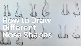 How to Draw Different Nose Shapes