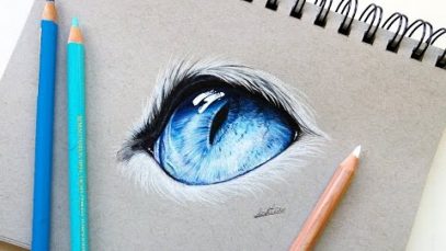 Realistic cat eye drawing with colored pencil Leontine van