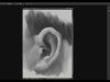 Digital Painting How to paint an ear